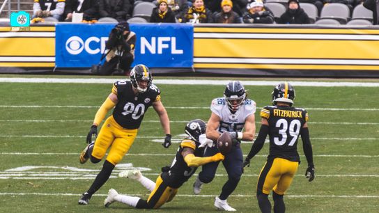 Steelers Arthur Maulet TJ Watt