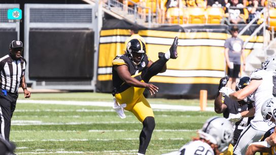 Steelers' Mike Tomlin Absolutely Disgusted Over Punter Pressley Harvin III (Steelers News)