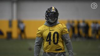 Steelers Waive 3 Players Including LB Tegray Scales (Off-Season News)