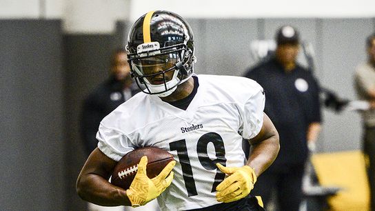 Actively Predicting the Inactive List: Week 12 (Steelers News)