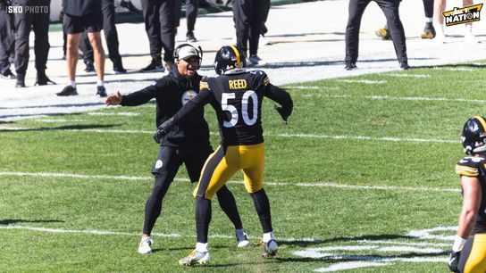 Steelers LB Malik Reed