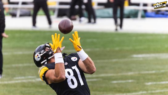 Steelers tight end Zach Gentry hauls in a pass