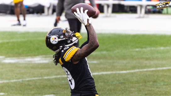 Steelers Diontae Johnson