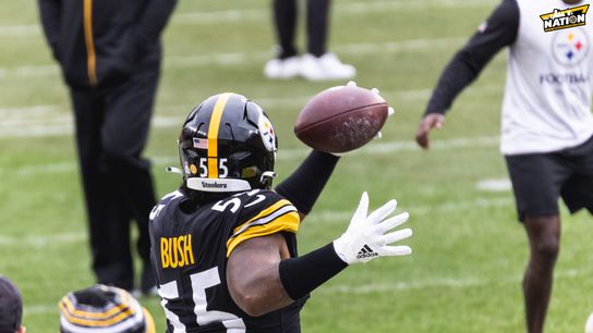 Steelers LB Devin Bush Gets More Playing Time In Week 12 Victory, But HC Mike Tomlin Implies It Wasn't Because Of His Promising Play (Steelers News)