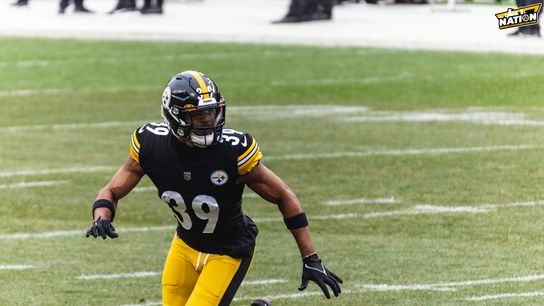 Steelers safety Minkah Fitzpatrick