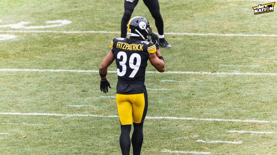 Steelers Star Safety Minkah Fitzpatrick Voted 2022 Team MVP By Teammates (Steelers News)