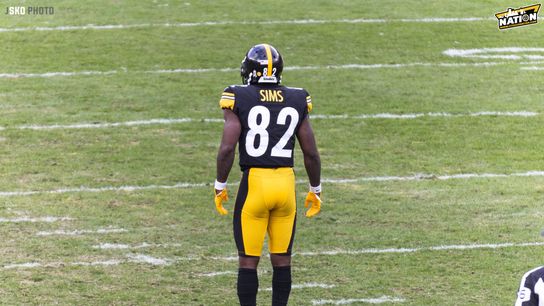 Steelers Likely To Lose Flashy Returner, Wideout Steven Sims Jr. In Free Agency, As He's Set To Meet With AFC South Squad (Steven Sims)