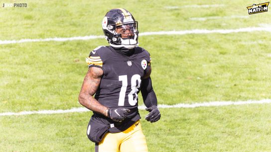 Steelers' Diontae Johnson Continues To Display Immaturity Despite Best Game Of Season In Week 15 (Steelers News)