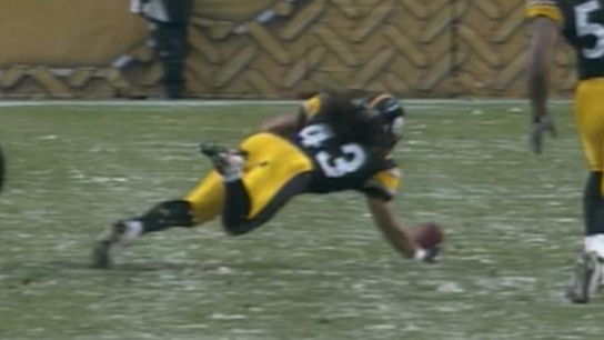 Steelers' Troy Polamalu Interception Steelers' Troy Polamalu Interception