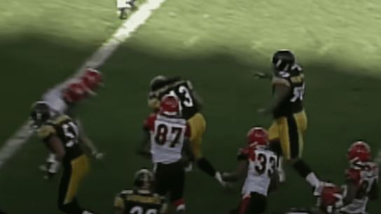 Polamalu runs over Palmer