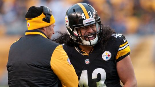 Steelers Legends Troy Polamalu and Dick LeBeau Are So Similar In Personality; Should They Ask Him To Pick Up A Clipboard In 2023? (Steelers News)