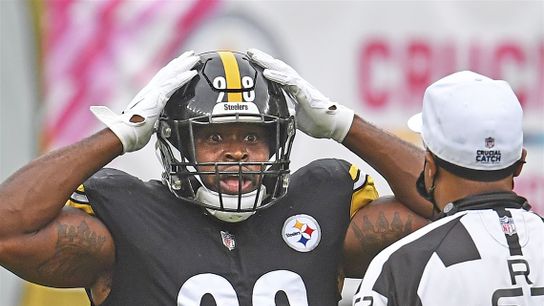 Report: Steelers Will Release Vince Williams (Free Agency News)