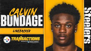 Steelers Re-Sign LB Calvin Bundage (Off-Season News)