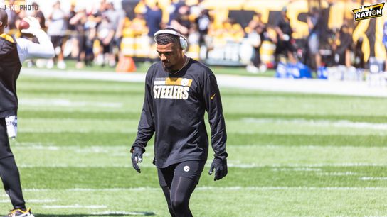 Steelers safety Minkah Fitzpatrick