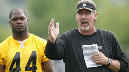 Steelers Cam Heyward Says Teryl Austin Brings 'More Detail' Than Keith Butler (Steelers News)