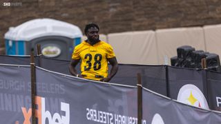 Steelers Veteran Players In Danger Of Not Making The 53-Man Roster (Steelers News)