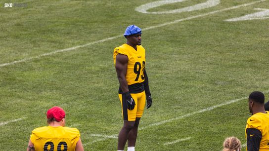 Steelers Mark Robinson