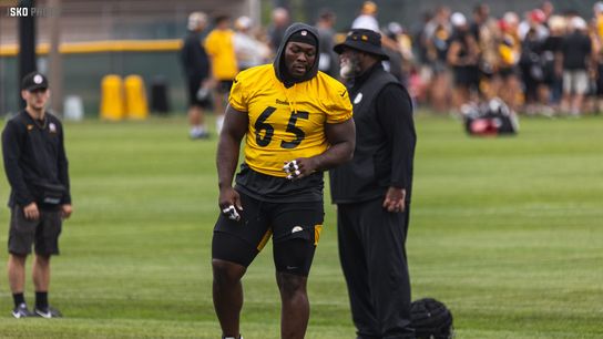 Steelers Larry Ogunjobi