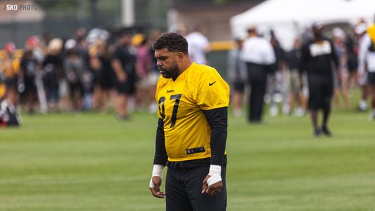 Steelers Cam Heyward