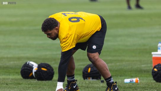 Steelers Cam Heyward