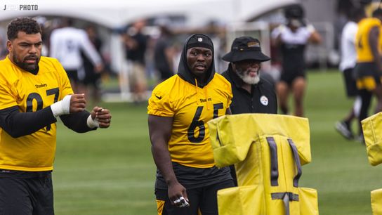 Steelers New 6th-Year Veteran DL Larry Ogunjobi Instantly Impresses During First "Team" Snaps (Steelers News)