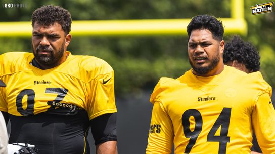 Steelers defensive linemen Cam Heyward Tyson Alualu