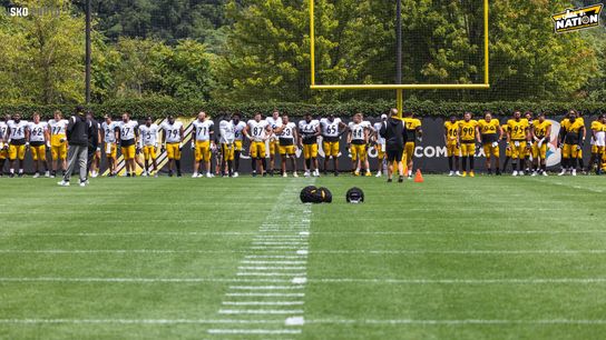Steelers vs. Seahawks Preseason Week 1 Report: Introducing the New Team (Analysis)