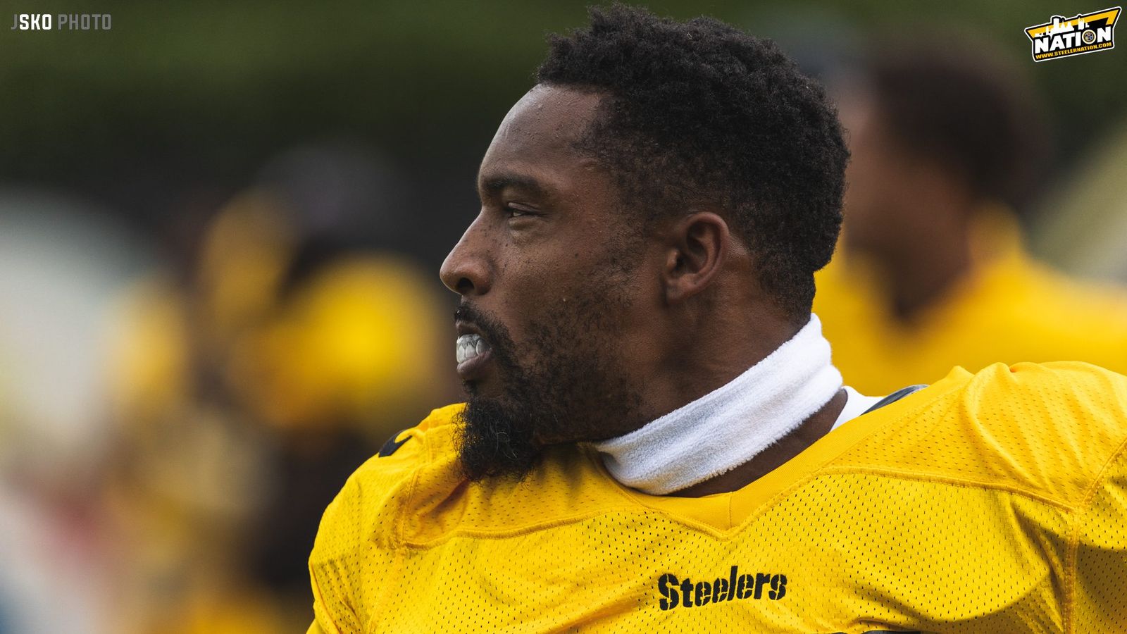 What Does Art Maulet Release Say about Steelers Defensive Plans?