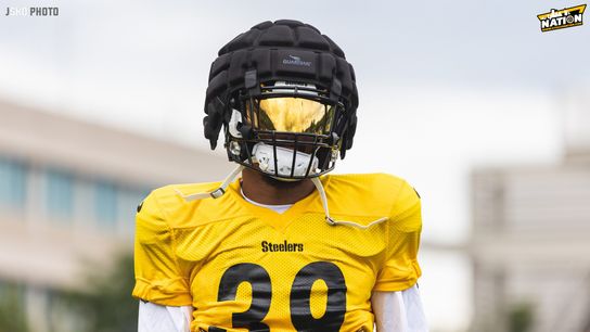 Steelers Minkah Fitzpatrick