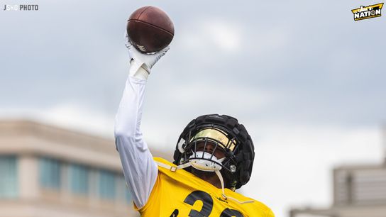 Steelers Minkah Fitzpatrick Steelers Minkah Fitzpatrick