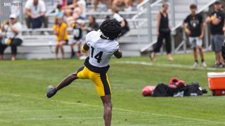 Ex-Steelers WR Martavis Bryant Joins FCF, Gets Cut by Elks