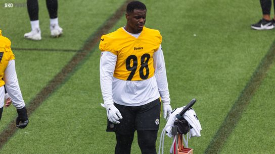 Steelers DeMarvin Leal