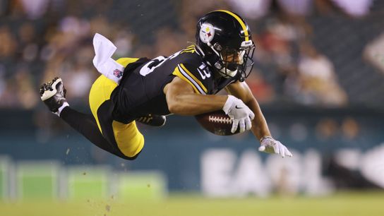 Steelers Elevate a WR and LB from Practice Squad (Injury News)