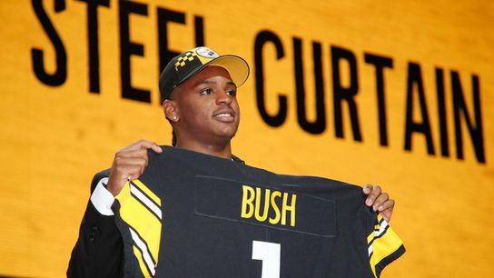 Steelers Devin Bush