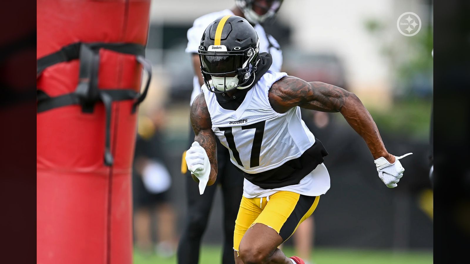 Steelers inside the ropes: Roster-bubble skill players Anthony