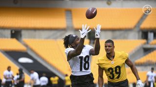 Madden 23 Wide Receiver Ratings Leaked; Steelers Diontae Johnson Slides In  At #20 In Top 30