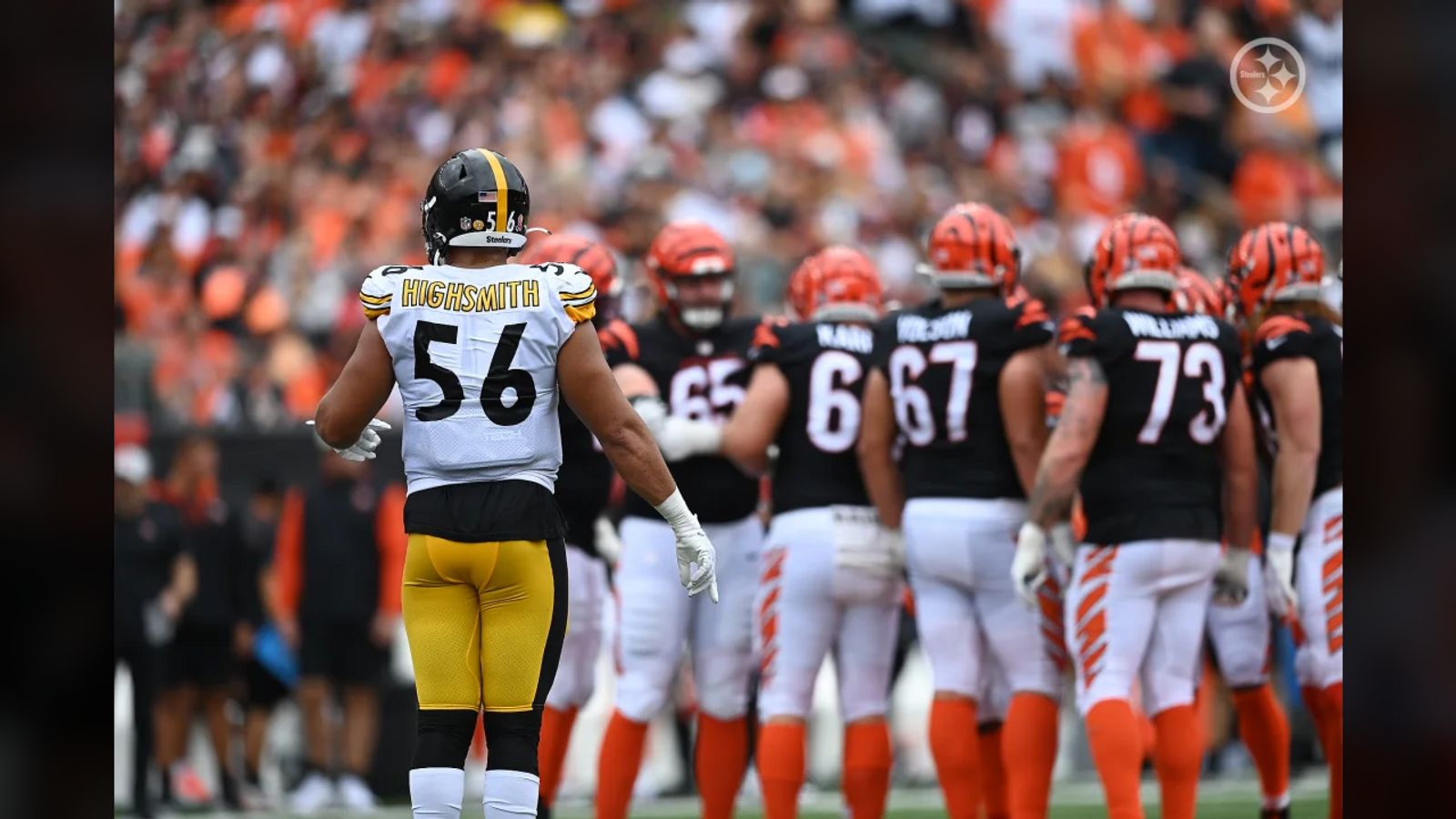 PHOTOS: Karl's top pics - Steelers at Bengals