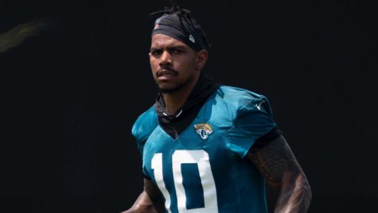 Could Terrelle Pryor Be Profitable For The Black And Gold? (Steelers News)