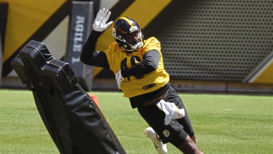 Steelers Quincy Roche