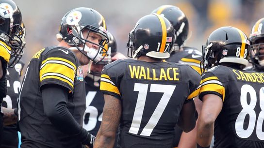 Steelers Mike Wallace