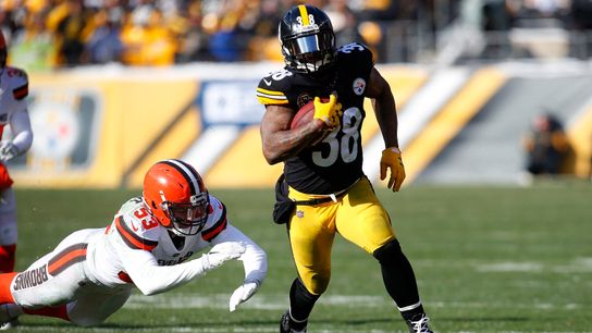 Steelers to Re-Sign Stevan Ridley to One-Year Deal (Free Agency News)