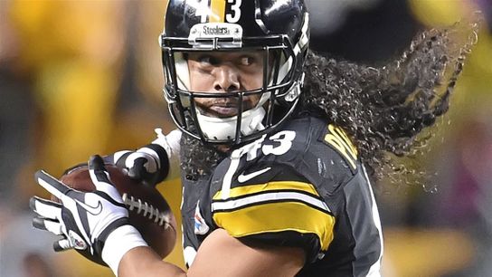 Steelers Troy Polamalu 