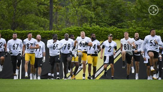 Oddsmakers Predict Steelers Finish With 7 Wins (Analysis)