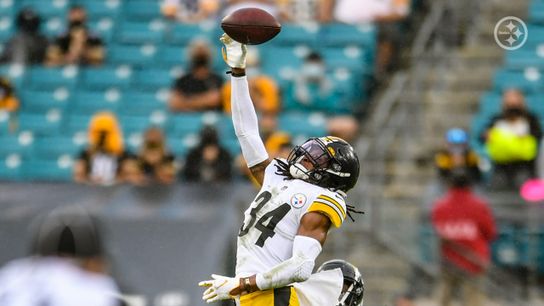 ESPN's Louis Riddick Speaks on Terrell Edmunds' Progression (Steelers News)