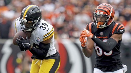 Steelers Minkah Fitzpatrick gets an interception during a road game against the Cincinnati Bengals. Steelers Minkah Fitzpatrick gets an interception during a road game against the Cincinnati Bengals.