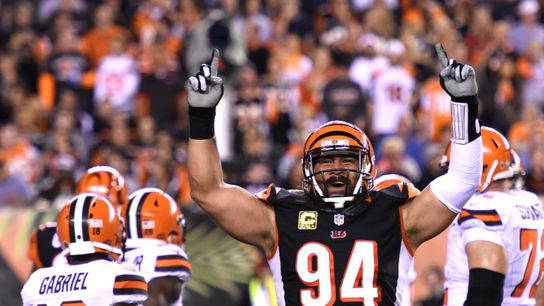 Steelers Domata Peko