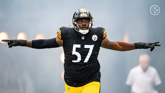 pittsburgh steelers sam adams pittsburgh steelers sam adams
