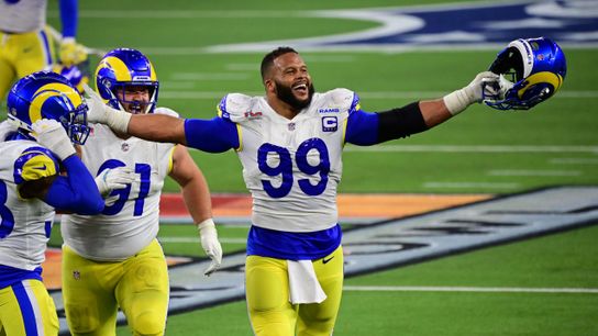 Pittsburgh Steelers Aaron Donald Pittsburgh Steelers Aaron Donald