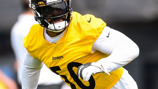 Pittsburgh Steelers Elandon Roberts Pittsburgh Steelers Elandon Roberts
