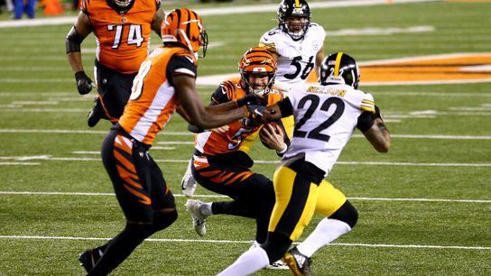 Pittsburgh Steelers Ryan Finley Pittsburgh Steelers Ryan Finley